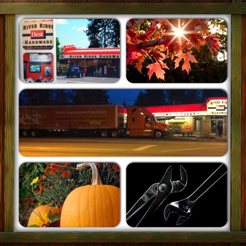 framed-garden-center