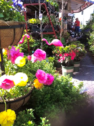 unframed-garden-center